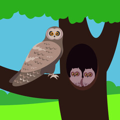 Owl and two owlets in a hollow in a tree