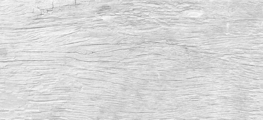 White wood texture with beautiful natural patterns in retro concept.