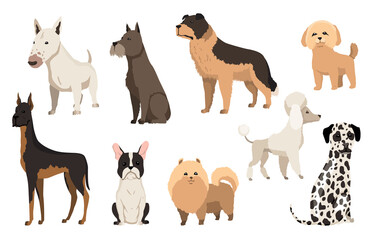 Dogs breed collection. Cute funny cartoon domestic pets characters flat  illustration. Human friends home animals