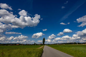 landstrasse in rüdtligen im sommer mit blauem himmel - obrazy, fototapety, plakaty