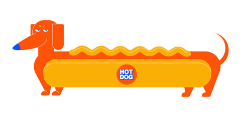 Cartoon hot dog dachshund. Vector illustration - 507227514