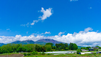 夏の青空と自然の風景
