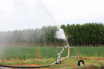 Sprinkler irrigation facilities in operation are in wheat fields, North China