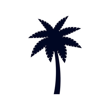Rainforest Coconut Tree or Tropical Palm Tree on White Backdrop. Simple Black Silhouette for Eco Floral Logotype Emblem in Retro Art, or Travel Logo Design