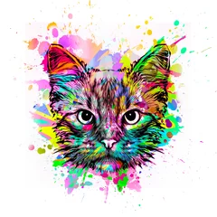 Tuinposter abstract colorful cat muzzle illustration, graphic design concept color art © reznik_val