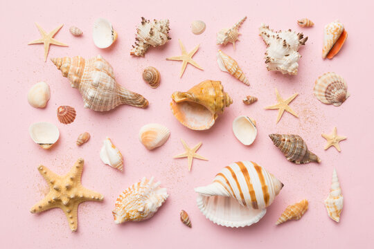 Summer time concept Flat lay composition with beautiful starfish and sea shells on colored table, top view