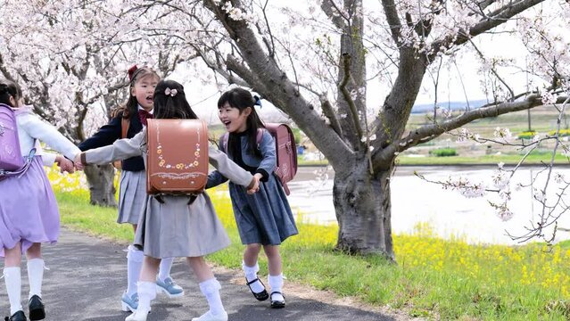 ランドセルを背負って小学校に通う女の子たち