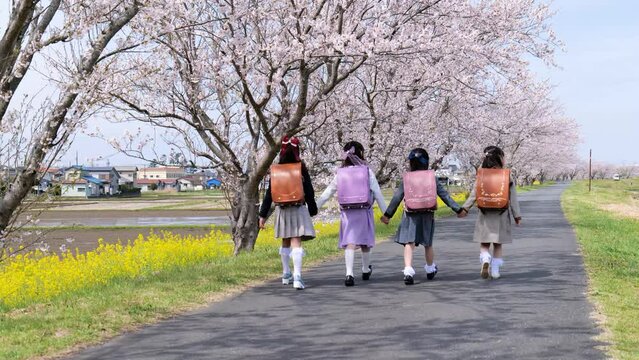 ランドセルを背負って小学校に通う女の子たち