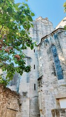 AVIGNON (Vaucluse)
