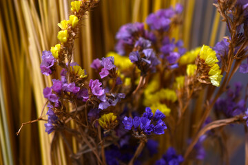 Yellow and blue dried flowers and straw. Herbarium.