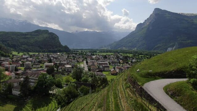 Flight over vines in Balzers village in Principality of Liechtenstein, Europe