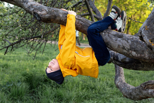 A Little Boy Of European Appearance In A Yellow Jacket Hangs On A Tree In The Park