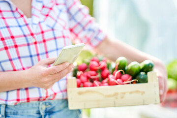 Portrait of gardener woman in greenhouse with radish