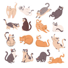 A Collections of Cute Cat with Various Poses Gesture, Streching, Sleeping, Sitting. Handdrawn Flat Style, World Cartoon cat or kitten characters design. 