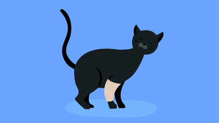 Black cat with a injured paw