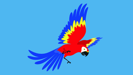 Flying parrot spread its wings