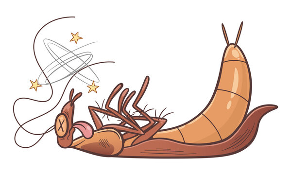 Defeated cartoon cockroach on the white background.