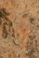 The wall is damaged by moisture - mold, moss. Poor living conditions. The problem with high humidity, the fight against the fungus.