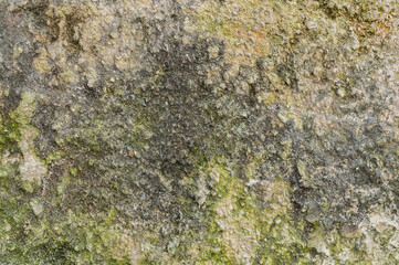 The wall is damaged by moisture - mold, moss. Poor living conditions. The problem with high humidity, the fight against the fungus.