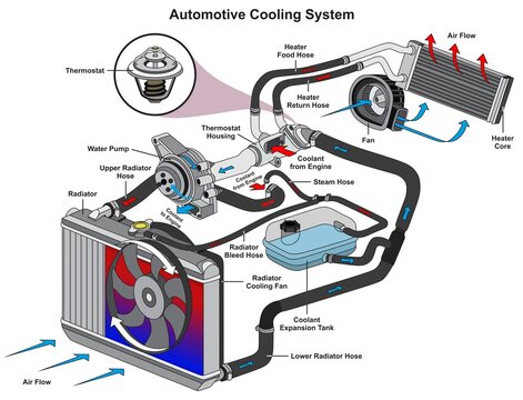 Automotive car cooling system infographic diagram mechanics dynamics engineering physics science education structure parts cartoon vector drawing industrial flat design automobile industry