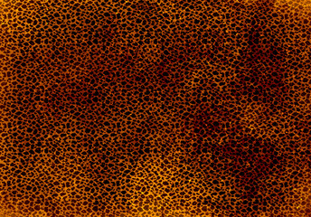 Orange and black leopard print design with sparkles and embers.