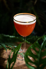 Red cocktail in Nick and Nora glass with wood and plants background