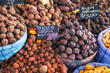 Different types of potatoes at the local market in Arequipa city, Peru, South America. - obrazy, fototapety, plakaty