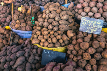 Different types of potatoes at the local market in Arequipa city, Peru, South America.