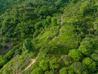 Aerial view of woman hiker hiking on tropical forest trail