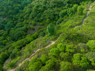 Aerial view of woman hiker hiking on tropical forest trail