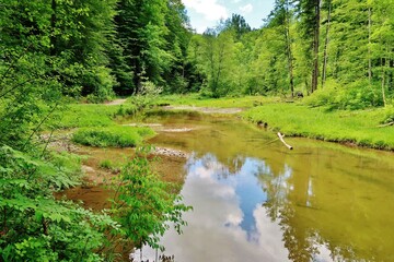 Wildromantische Wissbachschlucht, Ostschweiz