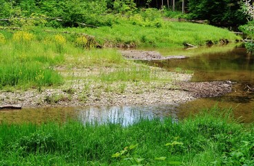 Wildromantische Wissbachschlucht, Ostschweiz