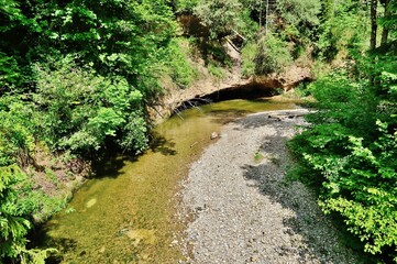 Wildbach geht in die Kurve