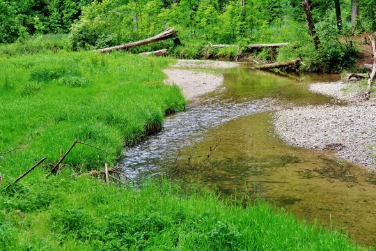 Bach durch die Wissbachschlucht, Ostschweiz