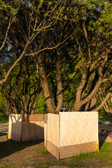 deciduous tree whose trunk is protected by a sheet of plywood (Corrected)
