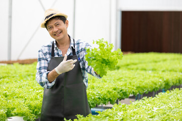 senior farmer smiling and holding organic vegetables in hydroponic farm