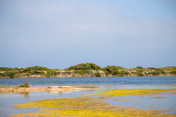 Lake Pujol bird protected area in Valencia