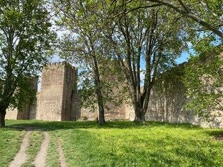 Medieval fortified city Smederevo fortress or Smederevo's 15th century fortress - Smederevska tvrđava ili Smederevska utvrda, Smederevo - Serbia (Srbija)
