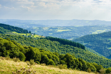 Vue d'un bois de châtaignier surplombant la vallée du Dourdou, Aveyron, Occitanie, France