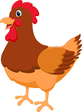 Chicken Cartoon funny hen 