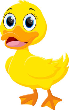 Cute Happy Duck cartoon, isolated on white background