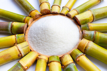 Sugar with sugar cane on white background.