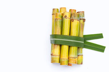 Sugar cane on white background.