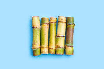 Sugar cane on blue background.