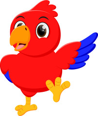 Cute Macaw bird cartoon 