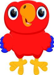Cute Macaw bird cartoon 