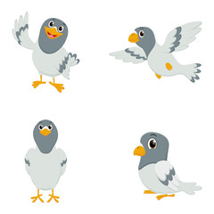 Cute Pigeon cartoon set with different poses 