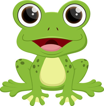 Cartoon cute frog, isolated on white background