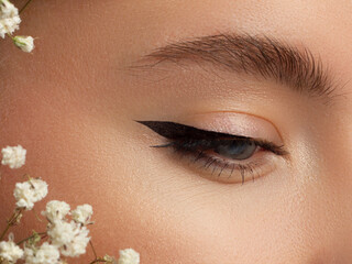 Beautiful macro shot of female eye with classic eyeliner makeup. Perfect shape of eyebrows, brown...
