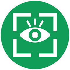 Eye Recognition Icon